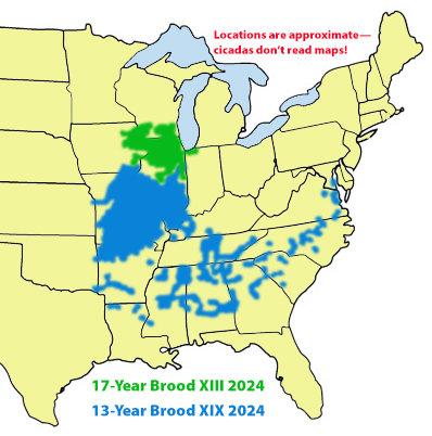 Cicada Map 2024